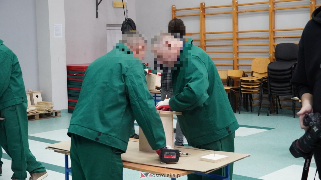 Osadzeni ZK Przytuły Stare przygotowują budki lęgowe dla ptaków [21.10.2026] - zdjęcie #37 - eOstroleka.pl