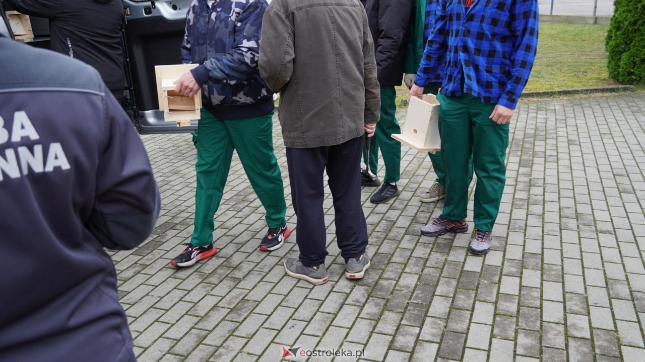 Osadzeni ZK Przytuły Stare przygotowują budki lęgowe dla ptaków [21.10.2026] - zdjęcie #19 - eOstroleka.pl