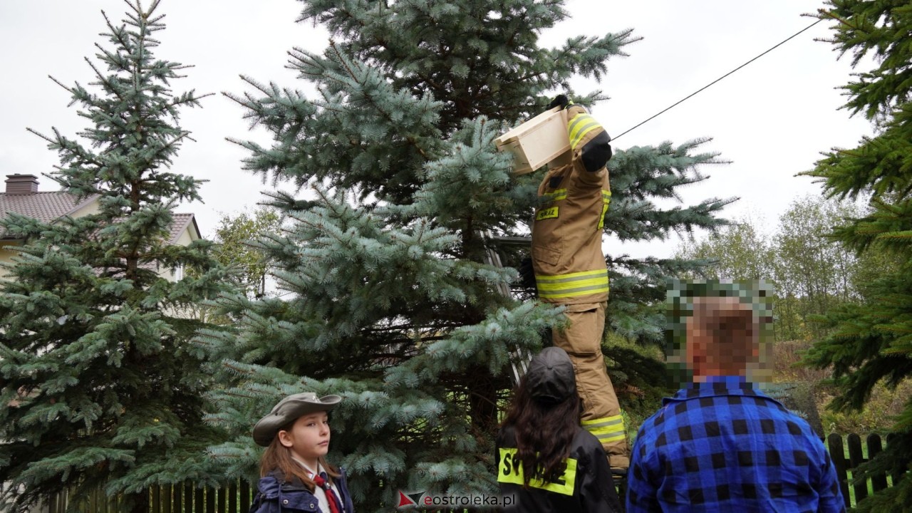 Osadzeni ZK Przytuły Stare przygotowują budki lęgowe dla ptaków [21.10.2026] - zdjęcie #14 - eOstroleka.pl