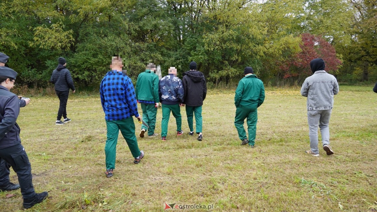 Osadzeni ZK Przytuły Stare przygotowują budki lęgowe dla ptaków [21.10.2026] - zdjęcie #9 - eOstroleka.pl