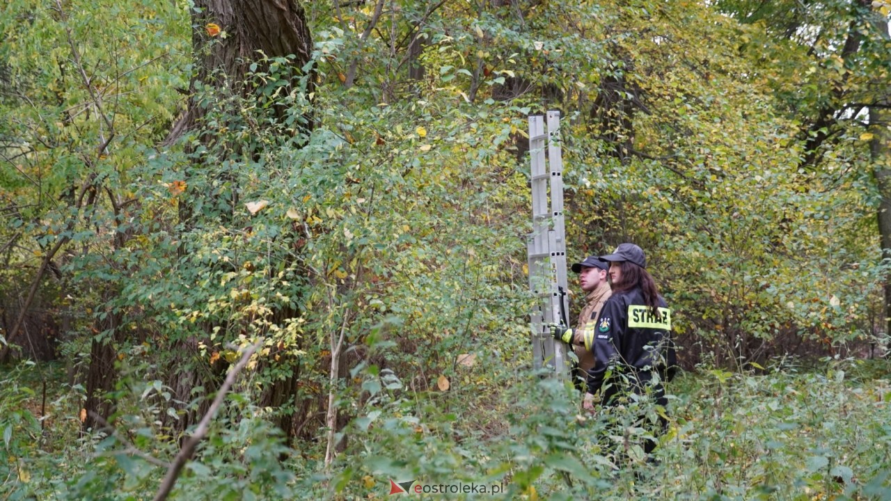 Osadzeni ZK Przytuły Stare przygotowują budki lęgowe dla ptaków [21.10.2026] - zdjęcie #7 - eOstroleka.pl