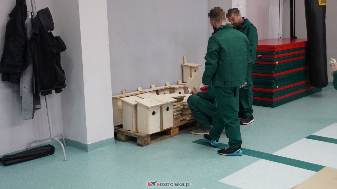 Osadzeni ZK Przytuły Stare przygotowują budki lęgowe dla ptaków [21.10.2026] - zdjęcie #62 - eOstroleka.pl