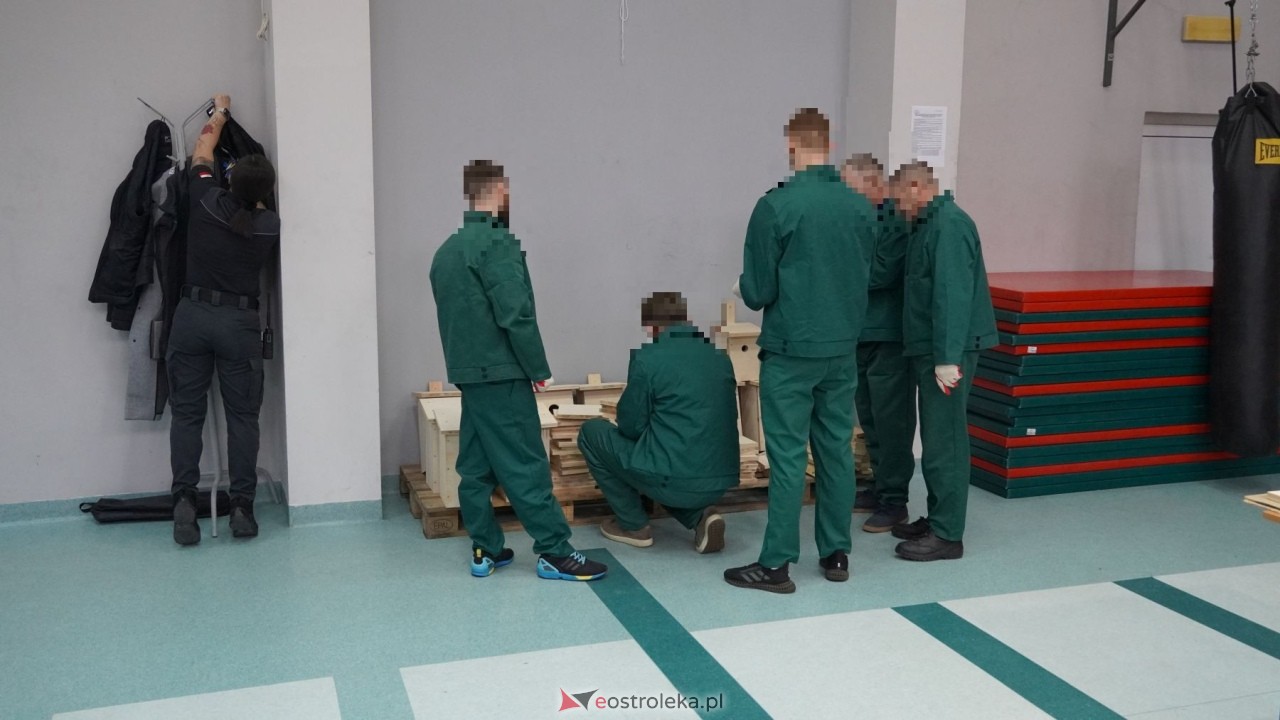 Osadzeni ZK Przytuły Stare przygotowują budki lęgowe dla ptaków [21.10.2026] - zdjęcie #61 - eOstroleka.pl