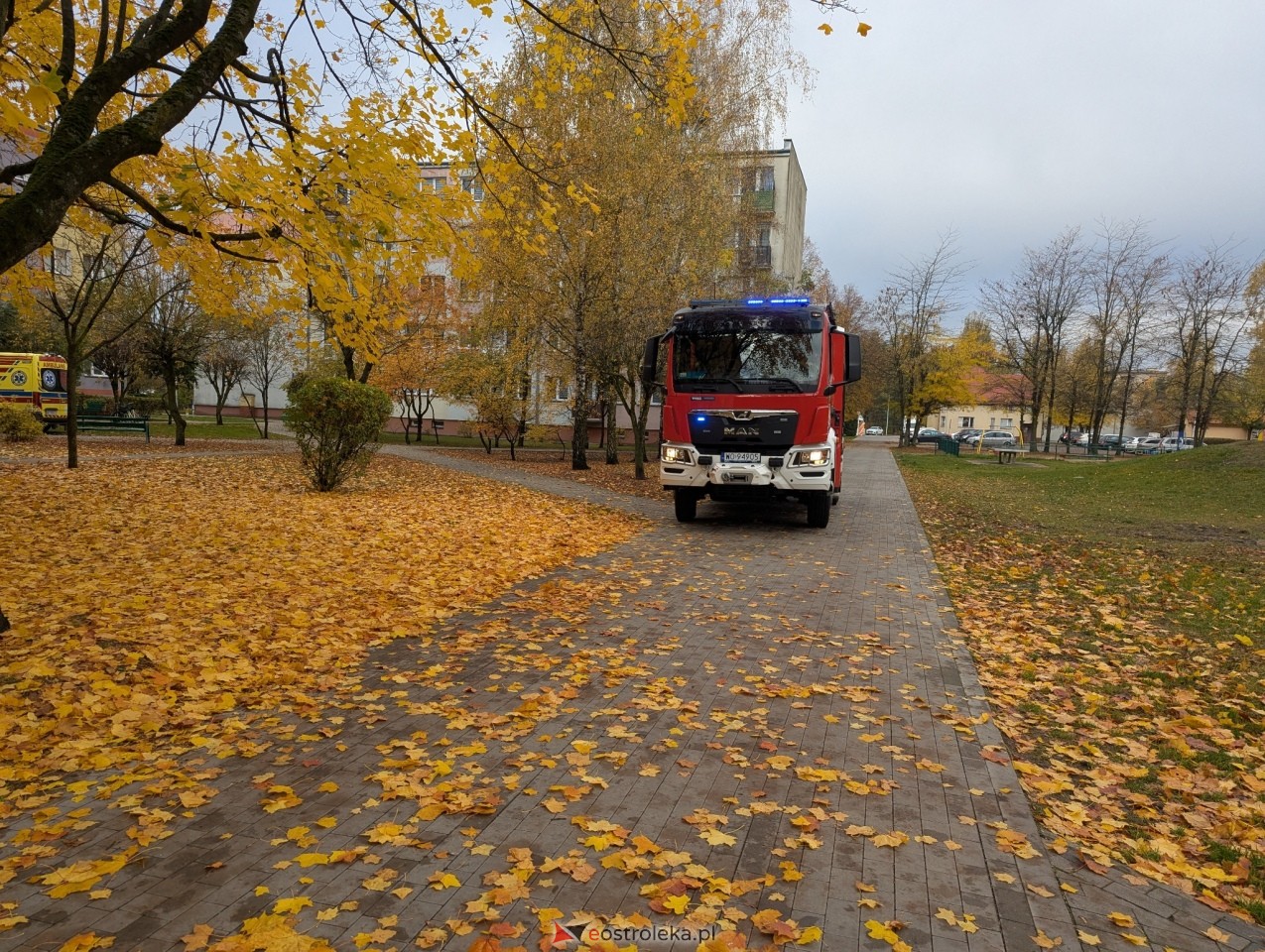 Interwencja przy Modrzejewskiej [23.10.2026] - zdjęcie #6 - eOstroleka.pl