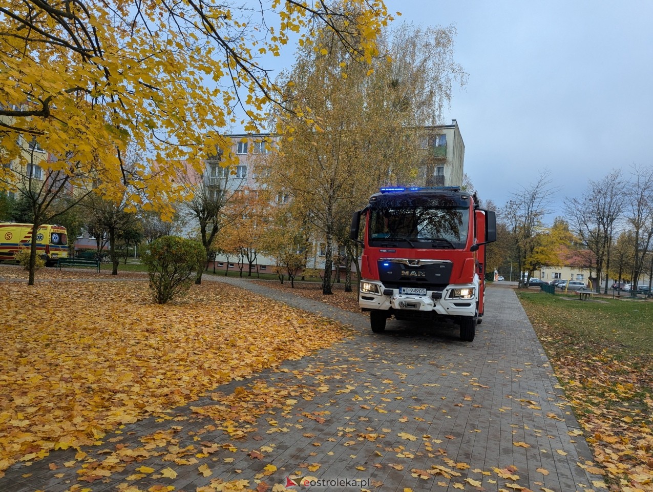 Interwencja przy Modrzejewskiej [23.10.2026] - zdjęcie #5 - eOstroleka.pl