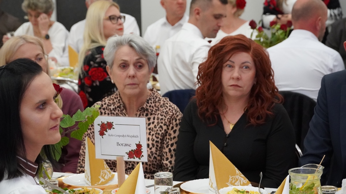 IV Przegląd Pieśni Biesiadnej oraz jubileusz 5-lecia KGW Troszynianki [24.10.2026] - zdjęcie #44 - eOstroleka.pl