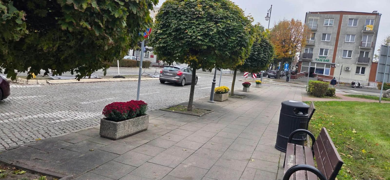 Chryzantemy ozdobiły Ostrołękę [27.10.2026] - zdjęcie #12 - eOstroleka.pl