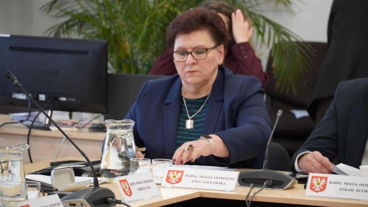 Sesja Rady Miasta [28.10.2026] - zdjęcie #28 - eOstroleka.pl