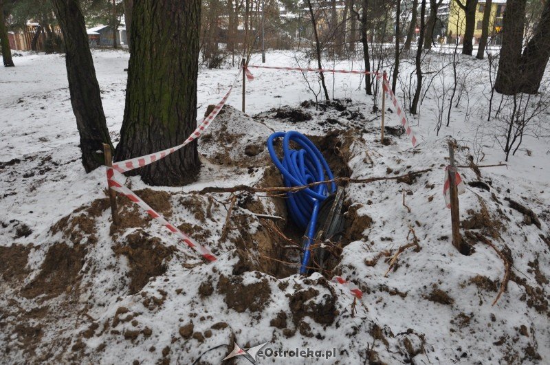 Las przy ulicy Bursztynowej zmienił się w plac budowy [19.I.2012] - zdjęcie #16 - eOstroleka.pl