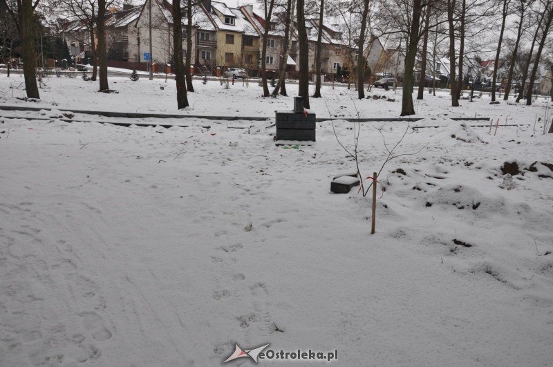 Las przy ulicy Bursztynowej zmienił się w plac budowy [19.I.2012] - zdjęcie #10 - eOstroleka.pl