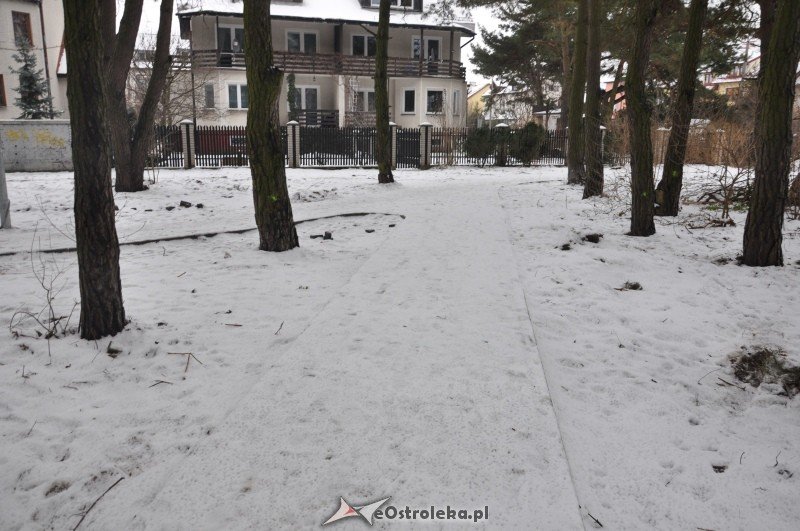 Las przy ulicy Bursztynowej zmienił się w plac budowy [19.I.2012] - zdjęcie #8 - eOstroleka.pl
