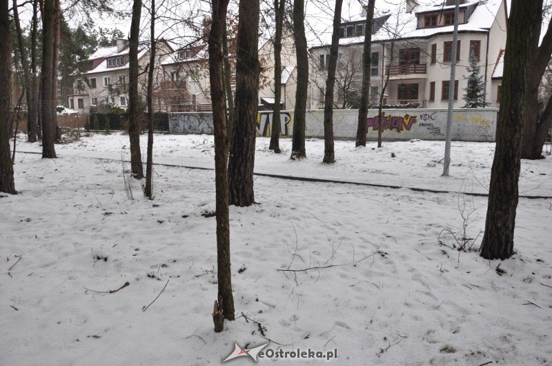 Las przy ulicy Bursztynowej zmienił się w plac budowy [19.I.2012] - zdjęcie #7 - eOstroleka.pl