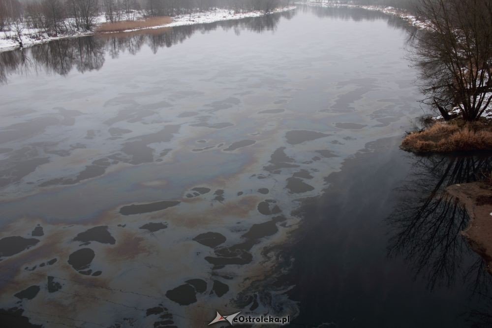 Wyciek oleju do Narwi [21.01.2012] - zdjęcie #10 - eOstroleka.pl