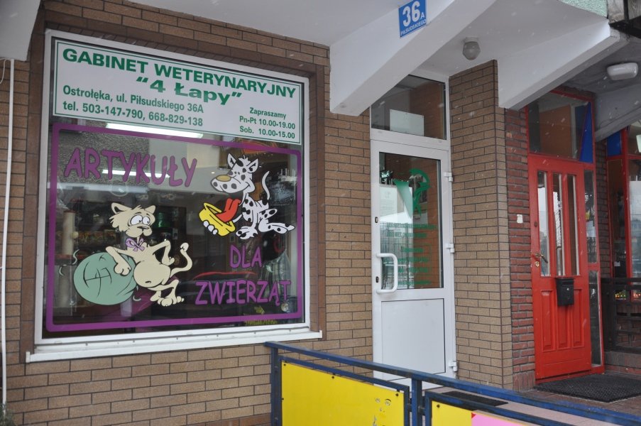 Urząd Miasta zachęca do bezpłatnej kastracji kotów wolnożyjących [26.I.2012] - zdjęcie #1 - eOstroleka.pl