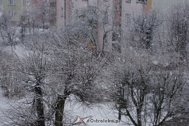 Powrót zimy w Ostrołęce [31.03.2012] - zdjęcie #15 - eOstroleka.pl