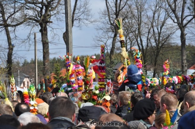 Niedziela Palmowa 2012 w Łysych [1.IV.2012] - zdjęcie #47 - eOstroleka.pl