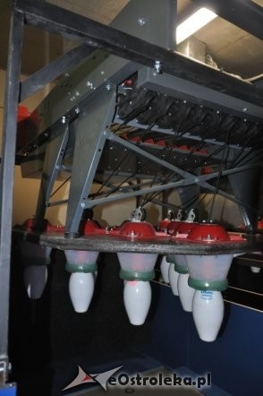 Niesamowity wystrój kręgielni w Aquaparku [13.IV.2012] - zdjęcie #21 - eOstroleka.pl