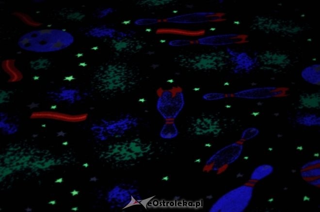 Niesamowity wystrój kręgielni w Aquaparku [13.IV.2012] - zdjęcie #7 - eOstroleka.pl