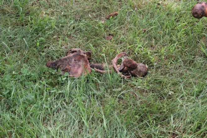 Zwłoki w Łęgu [1.08.2012] - zdjęcie #2 - eOstroleka.pl