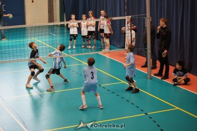 Turniej Minisiatkówki Kinder + Sport [22.04.2012] - zdjęcie #41 - eOstroleka.pl