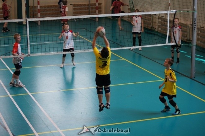 Turniej Minisiatkówki Kinder + Sport [22.04.2012] - zdjęcie #7 - eOstroleka.pl