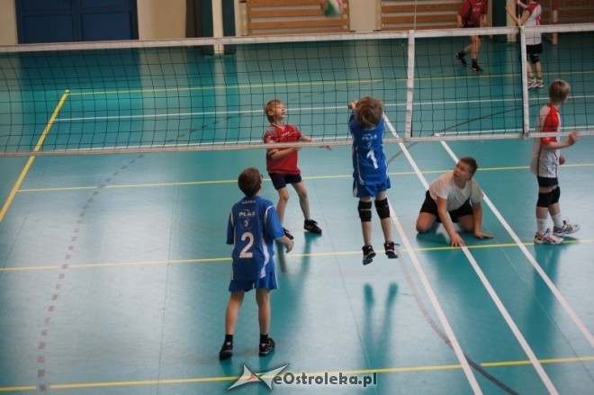 Turniej Minisiatkówki Kinder + Sport [22.04.2012] - zdjęcie #6 - eOstroleka.pl