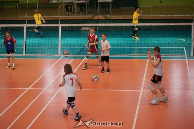 Turniej Minisiatkówki Kinder + Sport [22.04.2012] - zdjęcie #2 - eOstroleka.pl