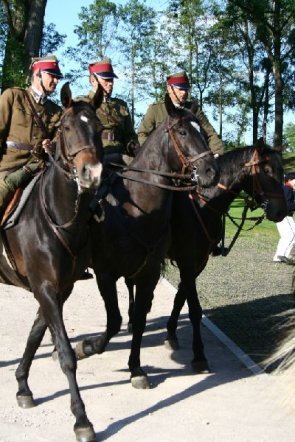 181 rocznica Bitwy pod Ostrołęką: Mauzoleum poległych w bitwie oficjalnie otwarte [26.V.2012] - zdjęcie #4 - eOstroleka.pl