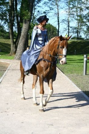 181 rocznica Bitwy pod Ostrołęką: Mauzoleum poległych w bitwie oficjalnie otwarte [26.V.2012] - zdjęcie #2 - eOstroleka.pl