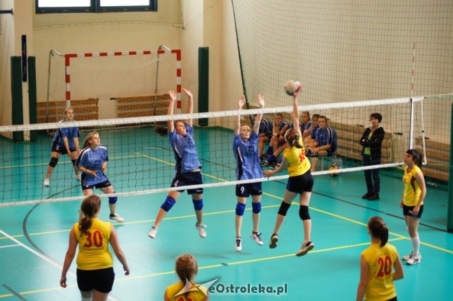 Powiatowy Turniej Siatkówki Młodziczek [03.06.2012] - zdjęcie #46 - eOstroleka.pl