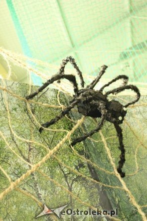 Turniej Leśny w SP w Rzekuniu [05.06..2012] - zdjęcie #11 - eOstroleka.pl