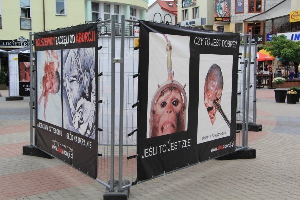 Szokująca wystawa Wybierz życie w Ostrołęce [8 VI 2012] - zdjęcie #1 - eOstroleka.pl