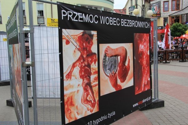 Szokująca wystawa Wybierz życie w Ostrołęce [8 VI 2012] - zdjęcie #8 - eOstroleka.pl