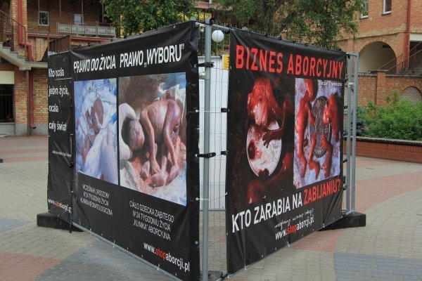 Szokująca wystawa Wybierz życie w Ostrołęce [8 VI 2012] - zdjęcie #1 - eOstroleka.pl