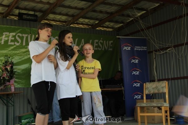 Festyn rodzinny osiedla Leśne [9.VI.2012] - zdjęcie #15 - eOstroleka.pl