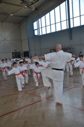 Egzamin na stopnie Kyu MKKK w Różanie [13.06.2012] - zdjęcie #4 - eOstroleka.pl