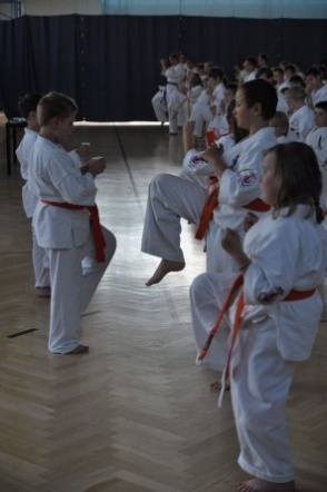 Egzamin na stopnie Kyu MKKK w Różanie [13.06.2012] - zdjęcie #3 - eOstroleka.pl