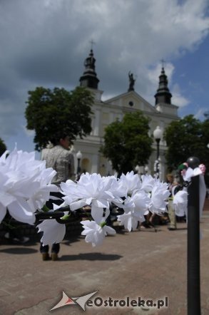 Wesele Kurpiowskie 2012 [24.06.2012] - zdjęcie #10 - eOstroleka.pl