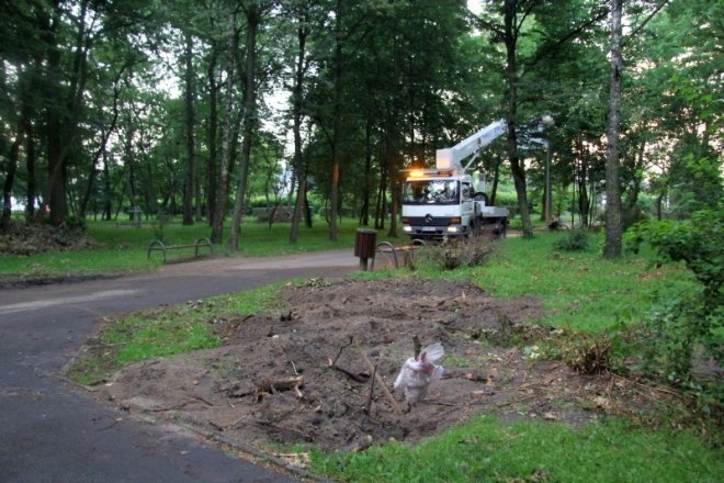 Trwa przebudowa parku miejskiego [4 VII 2012] - zdjęcie #5 - eOstroleka.pl