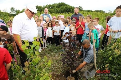 Wakacje w mieście z Radą Osiedla Centrum [25.07.2012] - zdjęcie #142 - eOstroleka.pl
