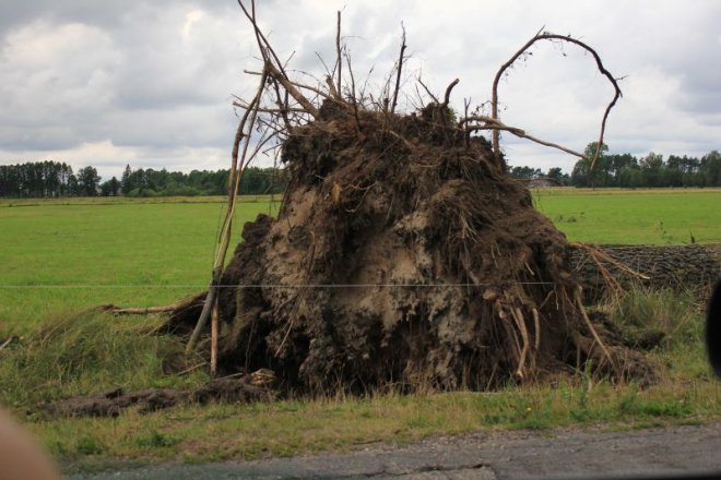 Wichura w powiecie [29.07.2012] - zdjęcie #36 - eOstroleka.pl