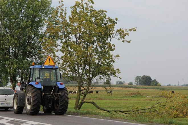 Potężna burza nad powiatem ostrołęckim: Wiatr zrywał dachy i powalał drzewa [22 VIII 2012]  - zdjęcie #22 - eOstroleka.pl