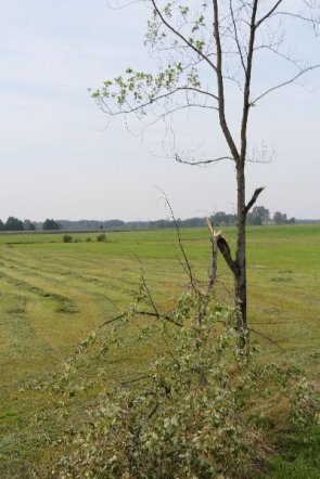Potężna burza nad powiatem ostrołęckim: Wiatr zrywał dachy i powalał drzewa [22 VIII 2012]  - zdjęcie #7 - eOstroleka.pl