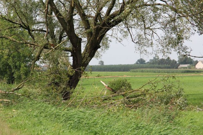 Potężna burza nad powiatem ostrołęckim: Wiatr zrywał dachy i powalał drzewa [22 VIII 2012]  - zdjęcie #9 - eOstroleka.pl