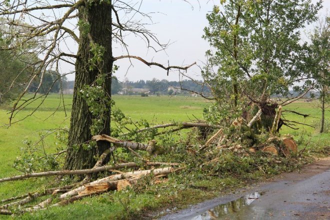 Potężna burza nad powiatem ostrołęckim: Wiatr zrywał dachy i powalał drzewa [22 VIII 2012]  - zdjęcie #10 - eOstroleka.pl
