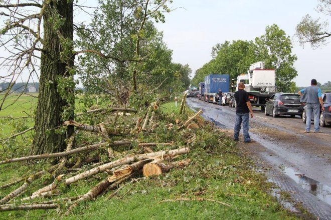 Potężna burza nad powiatem ostrołęckim: Wiatr zrywał dachy i powalał drzewa [22 VIII 2012]  - zdjęcie #11 - eOstroleka.pl