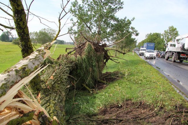 Potężna burza nad powiatem ostrołęckim: Wiatr zrywał dachy i powalał drzewa [22 VIII 2012]  - zdjęcie #12 - eOstroleka.pl