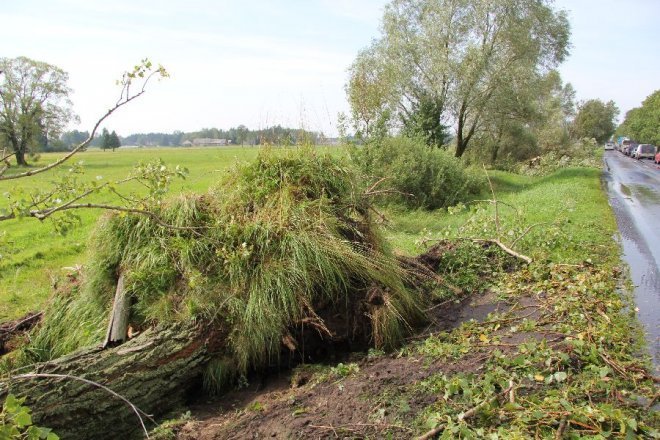 Potężna burza nad powiatem ostrołęckim: Wiatr zrywał dachy i powalał drzewa [22 VIII 2012]  - zdjęcie #15 - eOstroleka.pl
