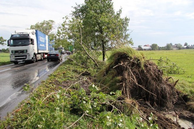Potężna burza nad powiatem ostrołęckim: Wiatr zrywał dachy i powalał drzewa [22 VIII 2012]  - zdjęcie #17 - eOstroleka.pl