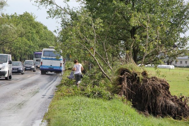Potężna burza nad powiatem ostrołęckim: Wiatr zrywał dachy i powalał drzewa [22 VIII 2012]  - zdjęcie #19 - eOstroleka.pl